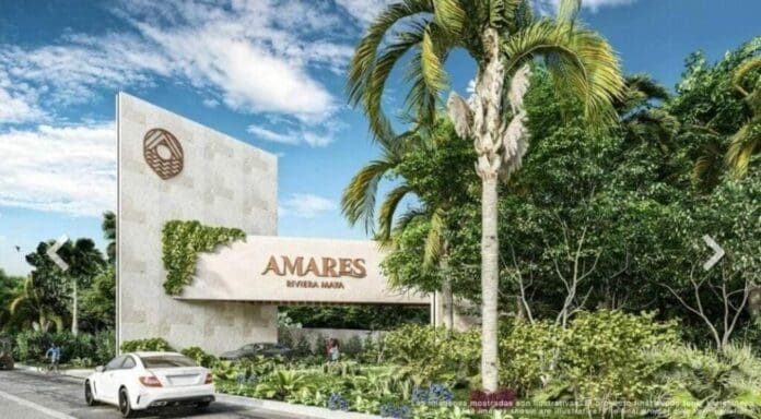 Las autoridades han decidido sancionar a la desarrolladora Amares Riviera Maya por haber removido vegetación sin contar con los permisos.