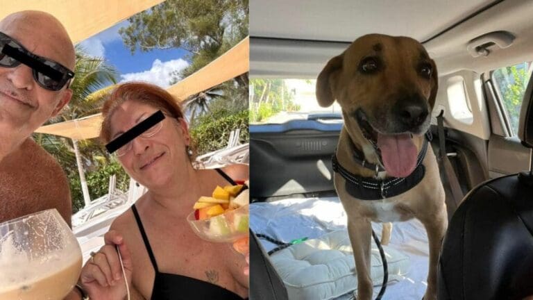 Denuncian a pareja de extranjeros por querer dormir a su perrito para no llevarlo con ellos a Canadá; radicaban en Puerto Aventuras