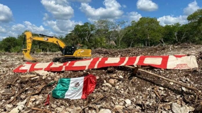 Clausurarán la SEMARNAT por ser omisa ante ecocidio del Tren Maya
