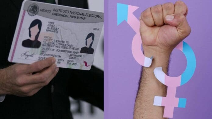 Proponen iniciativa para incluir concepto de cambio de identidad de género en Playa del Carmen