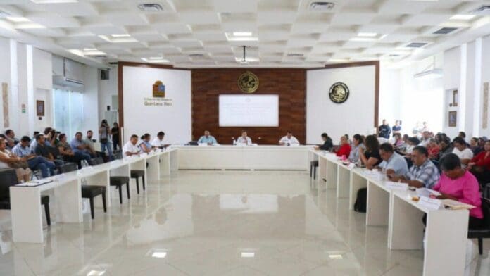 Aprueban crear reglamento para atención y bienestar de mascotas en Playa del Carmen