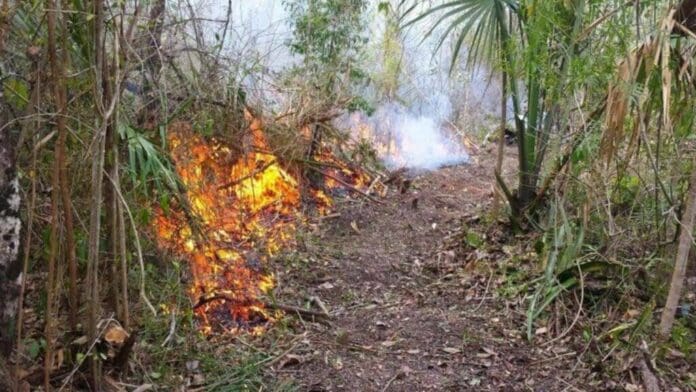 Exigen ser más responsables a ciudadanos que inician las quemas controladas en Playa del Carmen