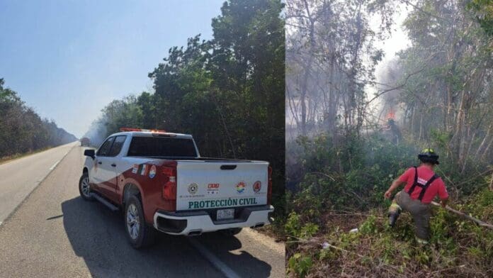 Combaten incendio en área verde en el km 2.82 de la carretera Cancún-Mérida