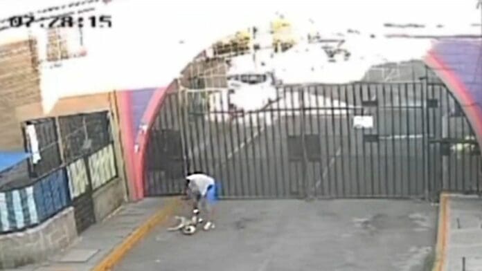 VIDEO: Captan a hombre golpeando a su perro al sacarlo a pasear en Tultepec, Edomex