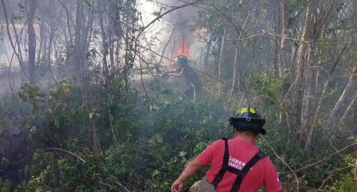 Es importante conocer cómo prevenir los incendios forestales. Para ello, las autoridades han emitido una serie de recomendaciones.