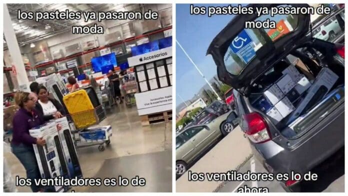 Captan a supuestos revendedores comprando decenas de ventiladores en Costco