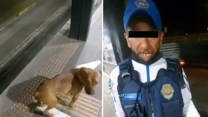 VIDEO: Suspenden a policía que dio palazo a perro en el Metrobús de CDMX