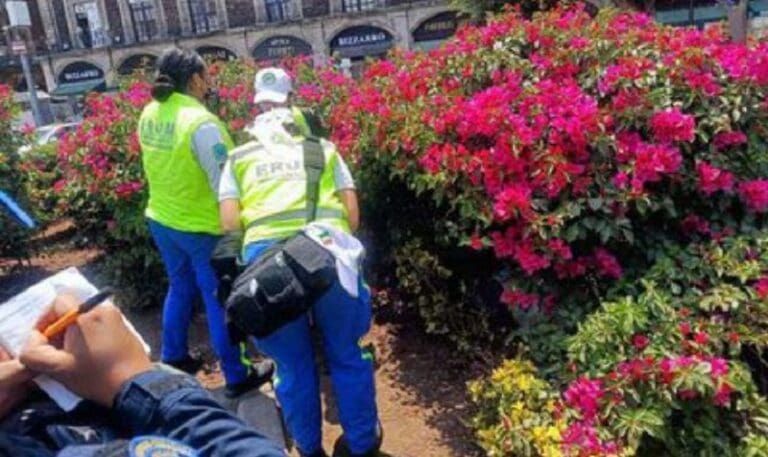 Encuentran el cadáver de un hombre en jardineras del Zócalo capitalino
