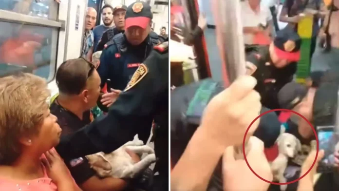 Policías sacan a hombre que llevaba a su perrito herido en el Metro de la CDMX por no cumplir con protocolo