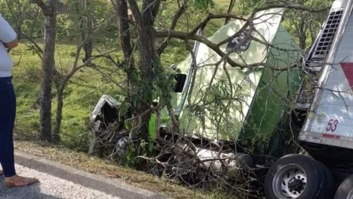 Ejecutan al conductor de un trailer y la gente lo ignora y roban todo su cargamento en Veracruz