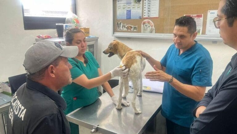 Unos jóvenes arrojaron a un perrito a un pozo en León, Guanajuato. Uno de ellos carga al lomito que además tiene amarrada una cuerda.