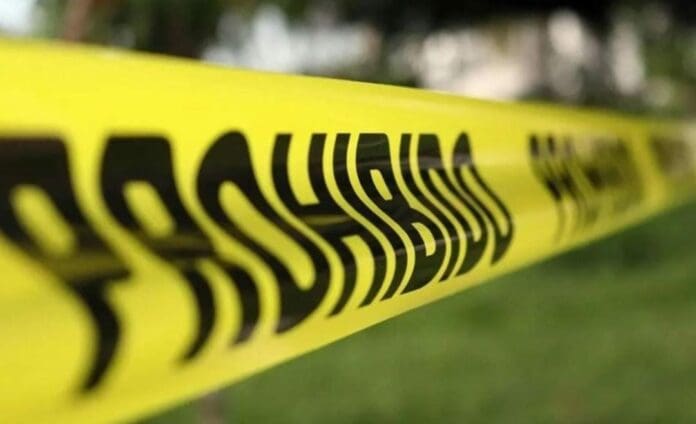 Según un informe, durante el actual sexenio de Andrés Manuel López Obrador se han registrado un total de 102 asesinatos de ambientalistas.