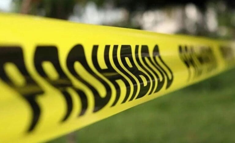 Según un informe, durante el actual sexenio de Andrés Manuel López Obrador se han registrado un total de 102 asesinatos de ambientalistas.