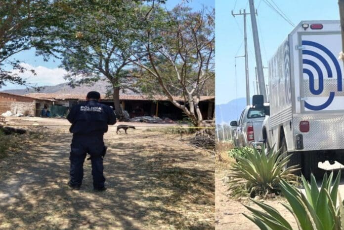 Muere un niño de dos años tras ser atacado por un perro en Tuxpan, Jalisco
