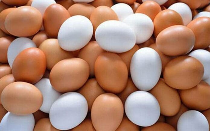 ¿A cómo y por qué tan caro? Precio del huevo alcanza niveles HISTÓRICOS en México