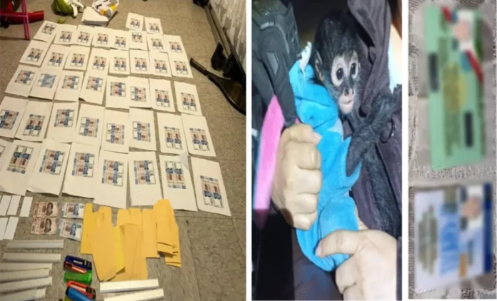 Decomisan a un narcochanguito cómplice de falsificadores de billetes en CDMX