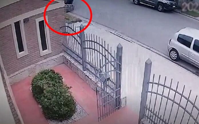 Hombre de 81 años muere tras caer de una camilla; se les volteó a los paramédicos