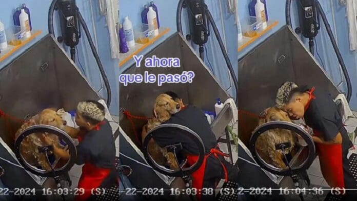 Empleado de estética canina causa ternura tras cantar a todo pulmón mientras baña a perrito