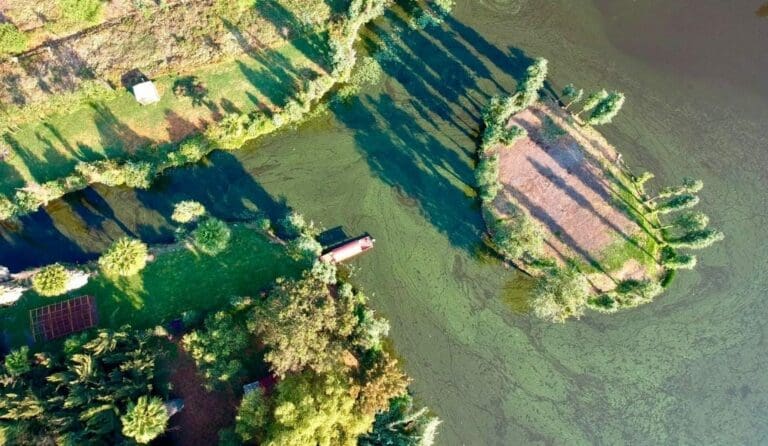 Habitantes de Xochimilco se amparan contra nombramiento de Barrio Mágico. Temen afectaciones al ecosistema con la llegada de más turismo.