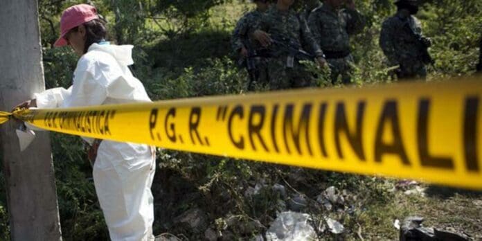 Encuentran cinco fosas clandestinas en límites de Oaxaca y Veracruz