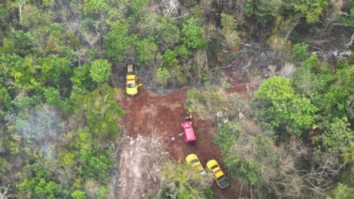 Autoridades de Protección Civil intentan contener un incendio forestal que surgió en las inmediaciones de Chacchoben, en Bacalar.