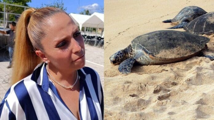 Permisos para obra en Playa Paraíso fueron entregados por exfuncionaria investigada por presuntas irregularidades