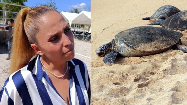 Permisos para obra en Playa Paraíso fueron entregados por exfuncionaria investigada por presuntas irregularidades