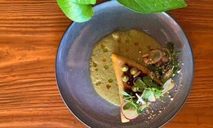Playa del Carmen cuenta con una gastronomía de primer orden. Varios de sus restaurantes han sido reconocidos por la Guía Michelin México.