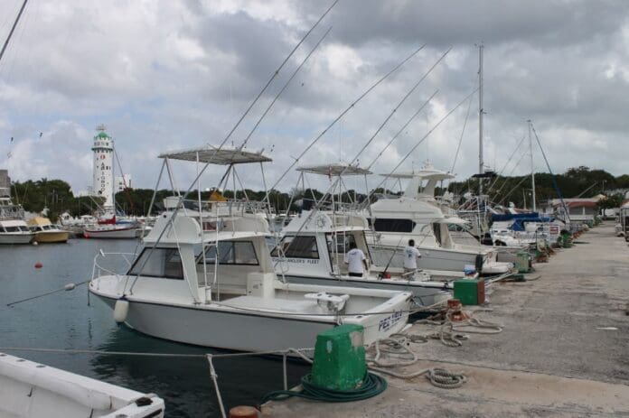 Tras 45 días de puerto cerrado en 2024 en Q. Roo, cinco empresas de náuticos están a punto de quebrar