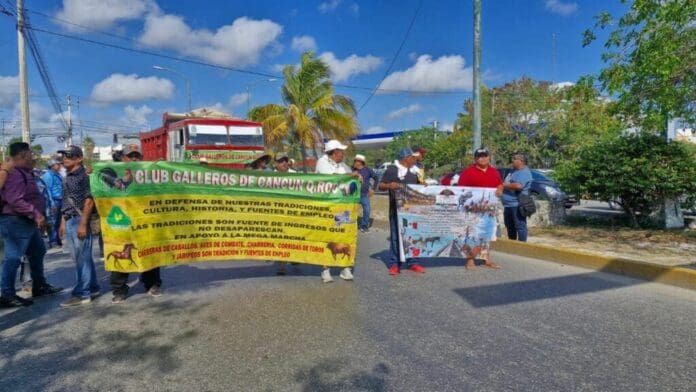 Protestan galleros de Quintana Roo; piden al Congreso regular la actividad, no prohibirla