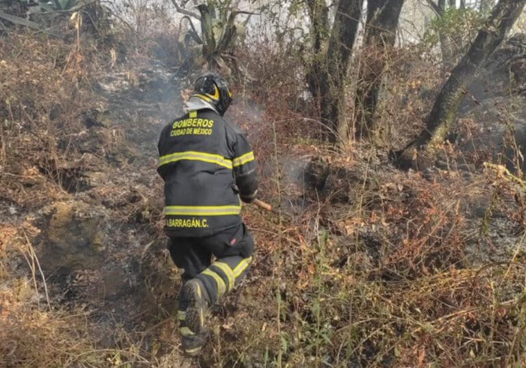 Video: Reportan fuerte incendio en el Bosque de Tlalpan, CDMX