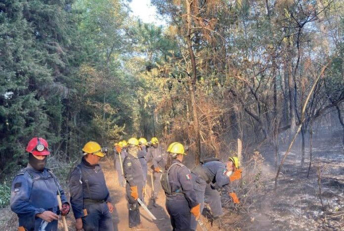 Video: Incendios forestales en Valle de Bravo consumen más de 60.000 hectáreas