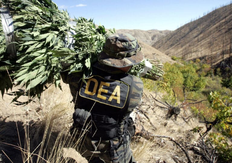 Responsabiliza la DEA a los cárteles de Sinaloa y Jalisco de la crisis de droga más grave en la historia de EE. UU.