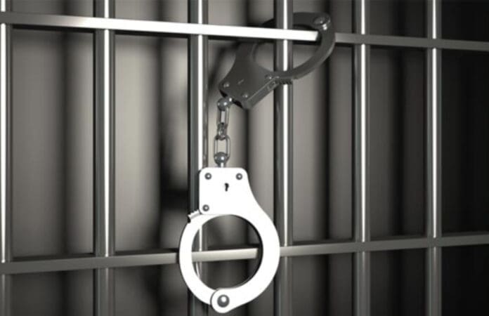 Capturan a 11 chinos por venta de drogas y explotación sexual en CDMX