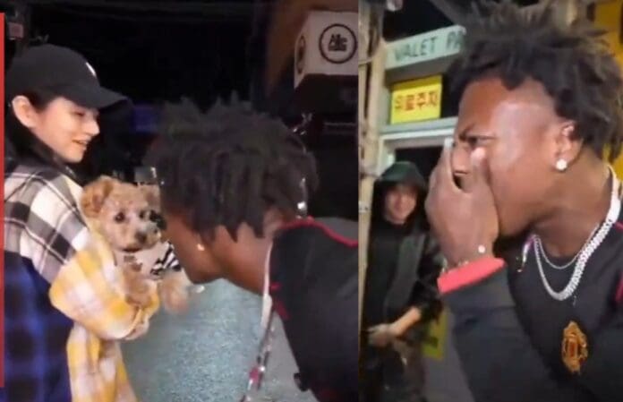 Youtuber es mordido en la cara por un perro tras gritarle y molestarlo