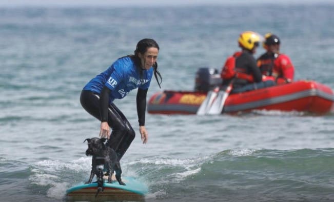 Video: Celebran campeonato europeo de surf canino 2024 en España