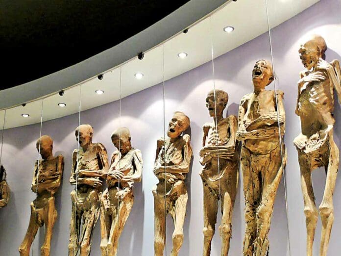INAH denuncia daños en las Momias de Guanajuato por parte de autoridades del Museo