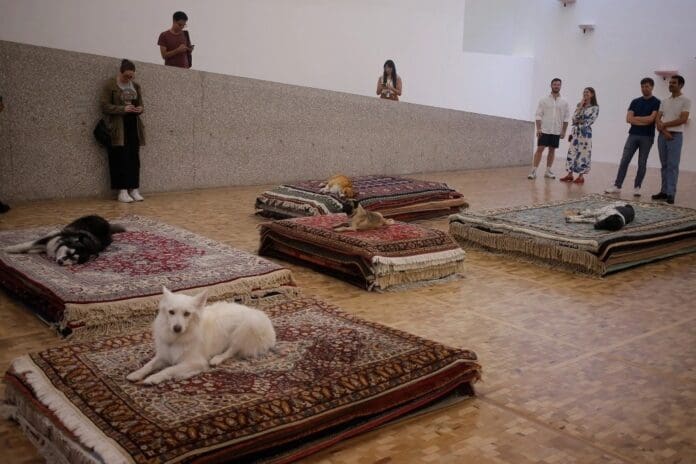 La exposición Casts en el Museo Tamayo de la CDMX genera controversia por el uso de perros reales
