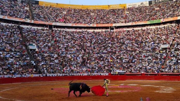 Permiten de nuevo las corridas de toros en la Plaza México; jueza niega suspensión definitiva