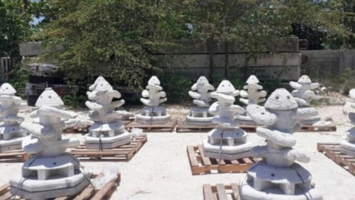 Asociados Náuticos de Quintana Roo colocarán tres arrecifes artificiales en la zona de El Meco