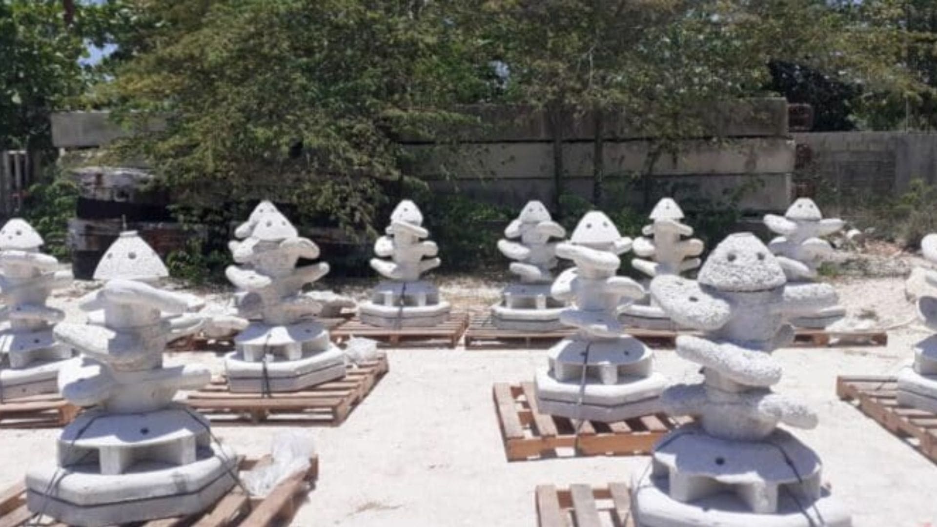 Asociados Náuticos de Quintana Roo colocarán tres arrecifes artificiales en la zona de El Meco