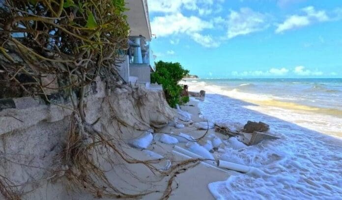 La erosión continúa presentándose en las costas de Playa del Carmen debido al mal tiempo, las mareas altas y el fuerte oleaje.