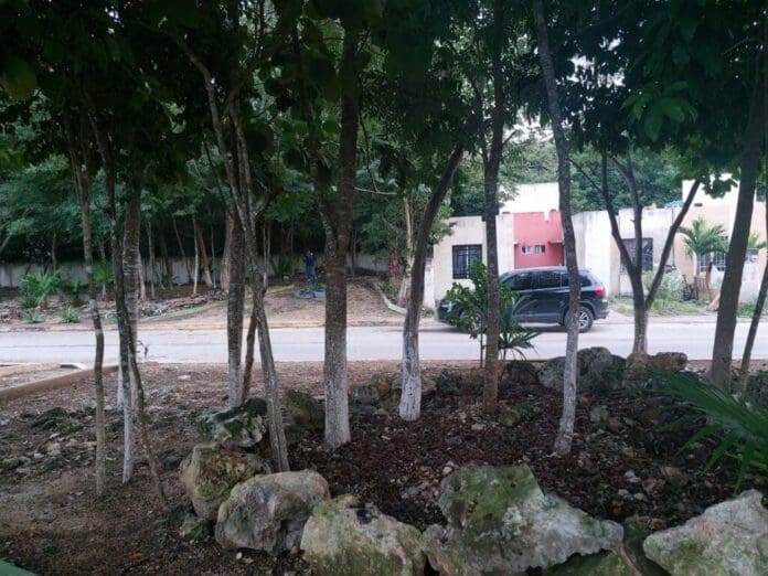 Pese a que CFE asegura que ha controlado los apagones en todo el país, ciudadanos del norponiente de Cancún tienen “otros datos”.