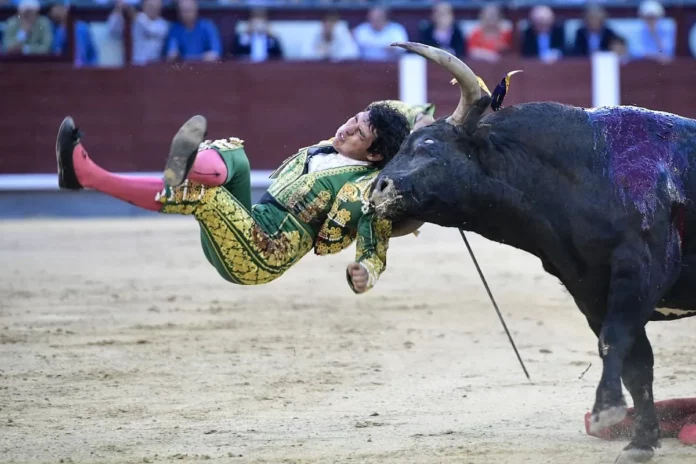El torero mexicano Isaac Fonseca sufre cornada de 20 centímetros por la espalda en Madrid