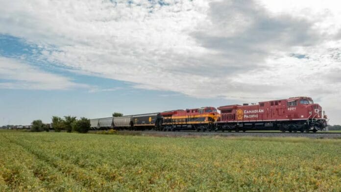 VIDEO Mujer muere en Hidalgo tras ser golpeada por un Tren mientras se tomaba un selfie