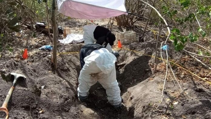 Hasta 29 fosas clandestinas que podrían contener más de 30 cuerpos fueron encontradas este miércoles 5 de junio en el estado de Colima.