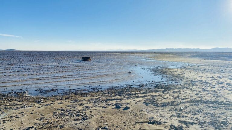 Mueren miles de peces de la Laguna de Bustillos por la intensa sequía en Chihuahua