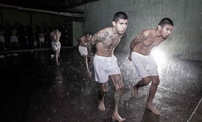El Salvador traslada a dos mil presuntos pandilleros presos a megacárcel