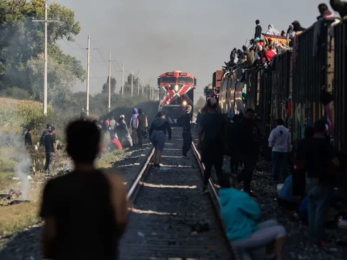 Mujer migrante intenta subir al tren, cae y La Bestia la parte en dos en Hidalgo