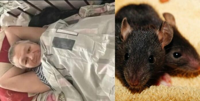 Una mujer en situación de la calle perdió sus dos piernas en Rusia, luego de ser mordida por ratas cuando se encontraba durmiendo.